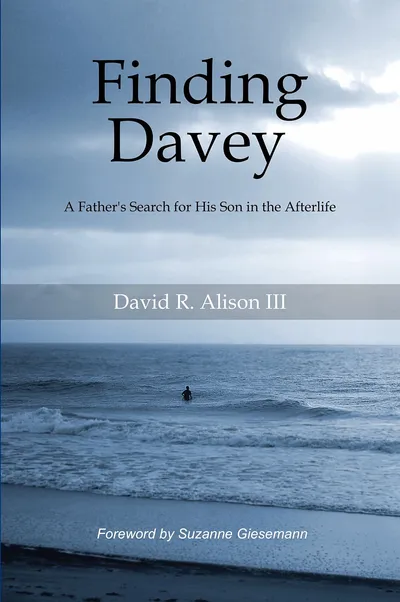 Finding Davey book cover